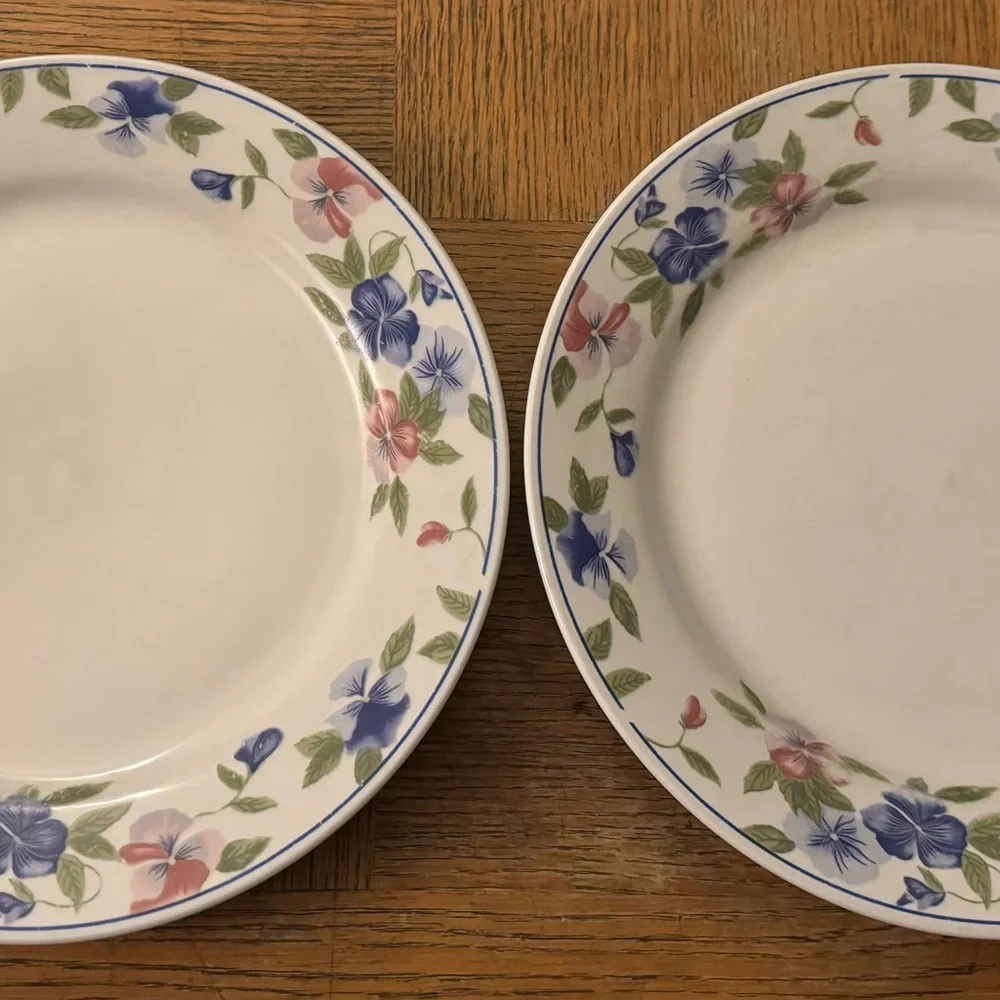Set of 2 Majesticware by Oneida Freesia floral stoneware dinner plates, 11”